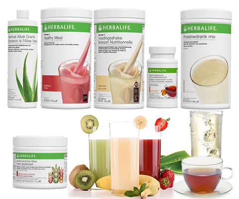 GOLD STAR drinkprogramma